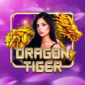 Dragon Tiger Arcade game live casino